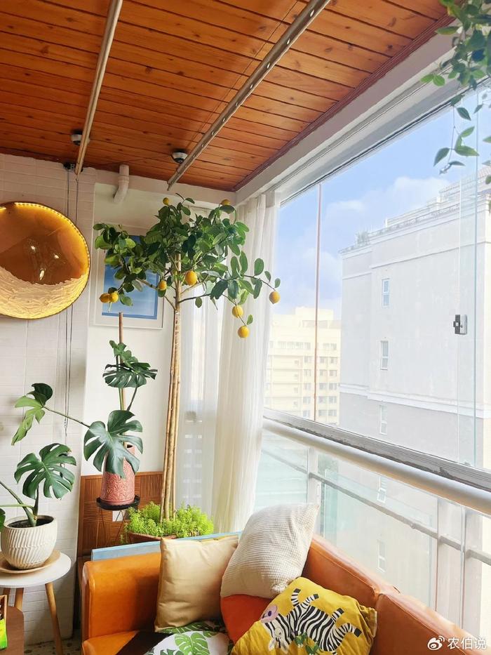 臥室里養(yǎng)花影響睡眠嗎_什么花養(yǎng)在臥室里有助于睡眠_(dá)臥室養(yǎng)什么花助眠