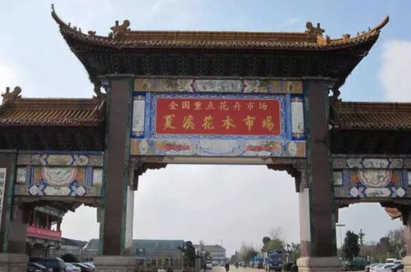 中國(guó)十大花卉批發(fā)市場(chǎng)，江蘇上榜兩處，第一是中國(guó)最大鮮切花市場(chǎng)(2)