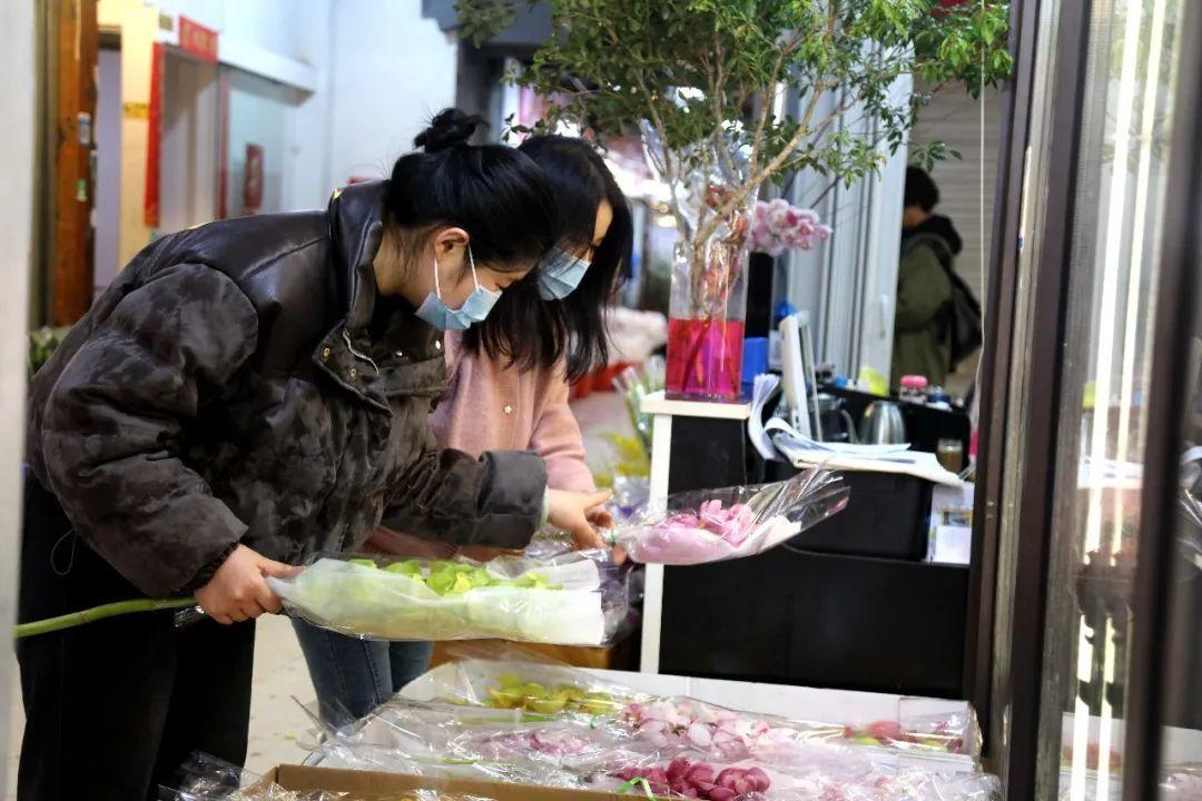 花卉批發(fā)綠植市場在哪里_花卉綠植批發(fā)市場多少錢_綠植花卉批發(fā)市場