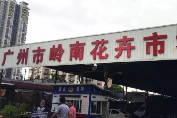 離我最近的花卉批發(fā)市場(chǎng)_花卉批發(fā)市場(chǎng)一覽_花卉市場(chǎng)批發(fā)