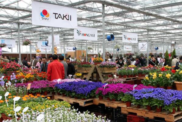 花卉批發(fā)市場(chǎng)一覽_花卉市場(chǎng)批發(fā)_離我最近的花卉批發(fā)市場(chǎng)