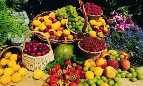 附近的花卉批發(fā)市場在哪里_附近的花卉市場批發(fā)_花卉批發(fā)附近市場在哪里