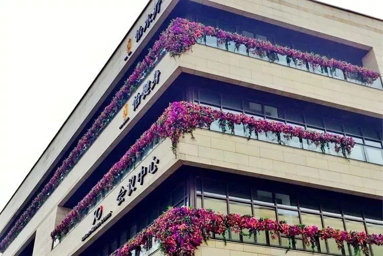 西安 鮮花_西安鮮花網(wǎng)鮮花店同城_西安鮮花基地