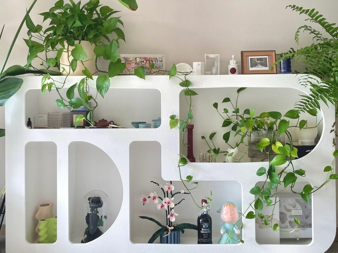 十種適合室內(nèi)養(yǎng)的花_室內(nèi)養(yǎng)適合花的植物_室內(nèi)養(yǎng)適合花草的植物