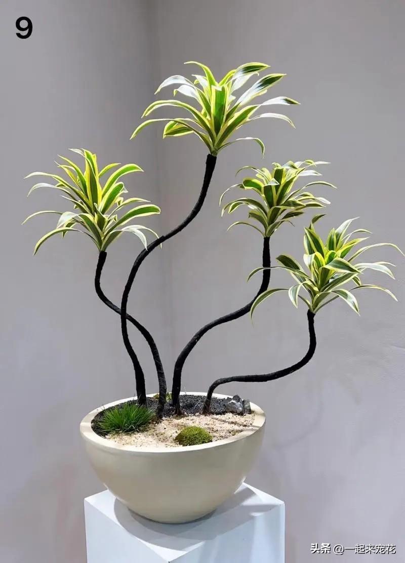 臥室養(yǎng)花可以開空調(diào)嗎_臥室養(yǎng)花可以用吡蟲啉嗎_臥室可以養(yǎng)花嗎