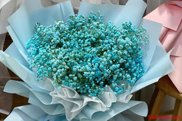 表白送滿天星好不好？表白送哪種花適合？