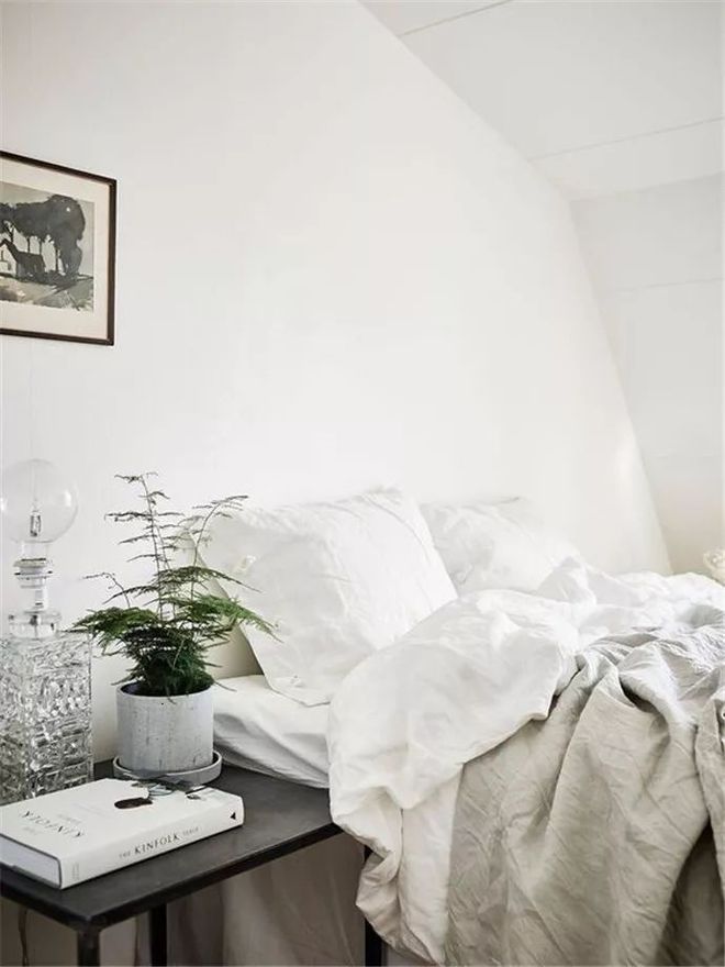 床頭柜適合放綠蘿嗎_床頭柜適合擺植物嗎_床頭柜放什么綠植好