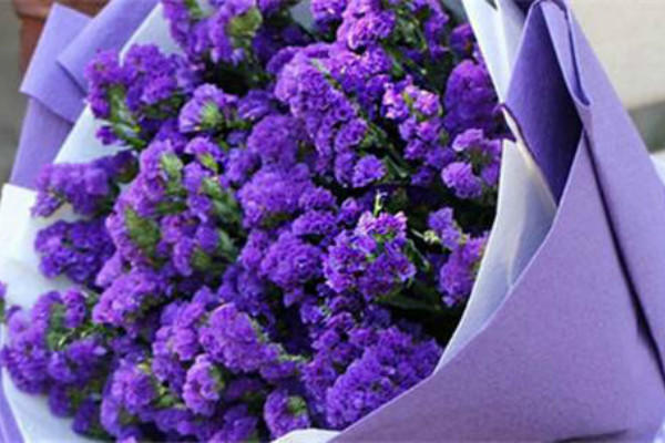 女生送男生花合適嗎 會(huì)不會(huì)顯得掉價(jià)