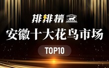 成都花鳥市場(chǎng)_成都市場(chǎng)花鳥市場(chǎng)價(jià)格_成都市場(chǎng)花鳥市場(chǎng)地址