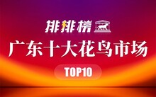 成都市場(chǎng)花鳥市場(chǎng)價(jià)格_成都花鳥市場(chǎng)_成都市場(chǎng)花鳥市場(chǎng)地址