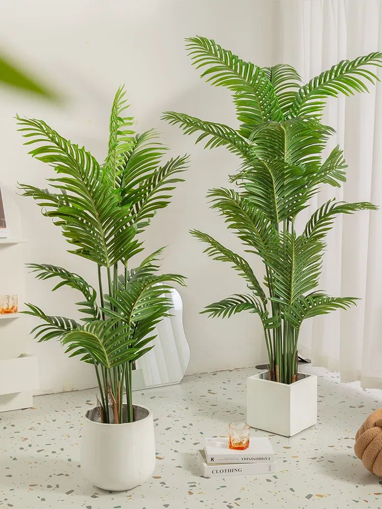 客廳適合擺放的綠植_客廳擺綠植有什么講究_客廳擺放綠植適合什么顏色