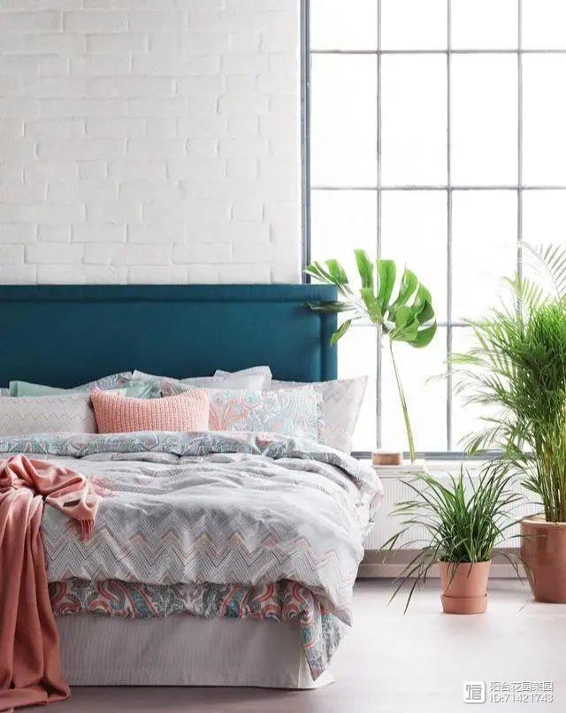 臥室能養(yǎng)花嗎風水_臥室能養(yǎng)花嗎養(yǎng)什么花_臥室能養(yǎng)花嗎