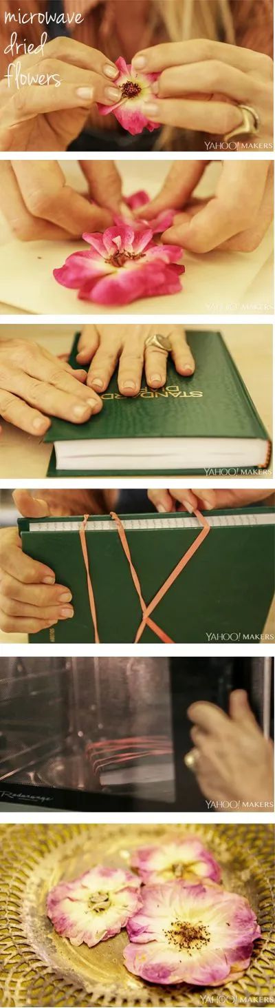 鮮花變干花后怎么保存_鮮花放干后變成干花_鮮花一直放會變干花嗎