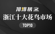 成都市場花鳥市場地址_成都市場花鳥市場價(jià)格_成都花鳥市場