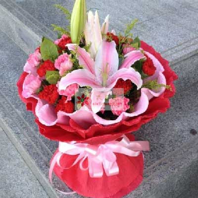 送給姐姐什么花最好_適合送給姐姐的花_送給姐姐什么花