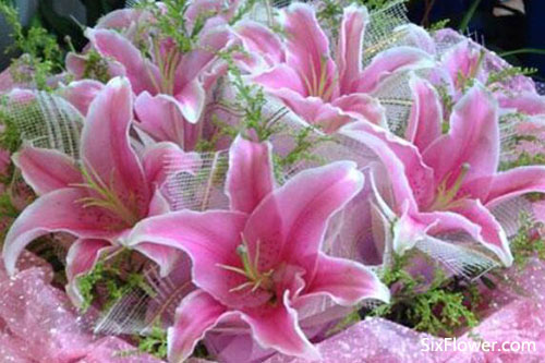 老人祝壽送花，為老人祝壽送什么花好？