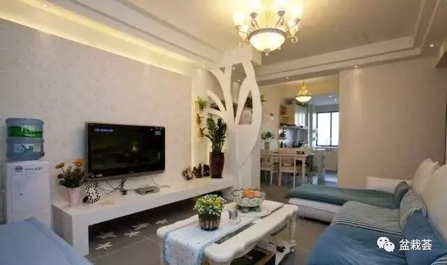 客廳電視背景墻放什么綠植_電視客廳背景墻綠植放什么好看_電視客廳背景墻綠植放哪里好