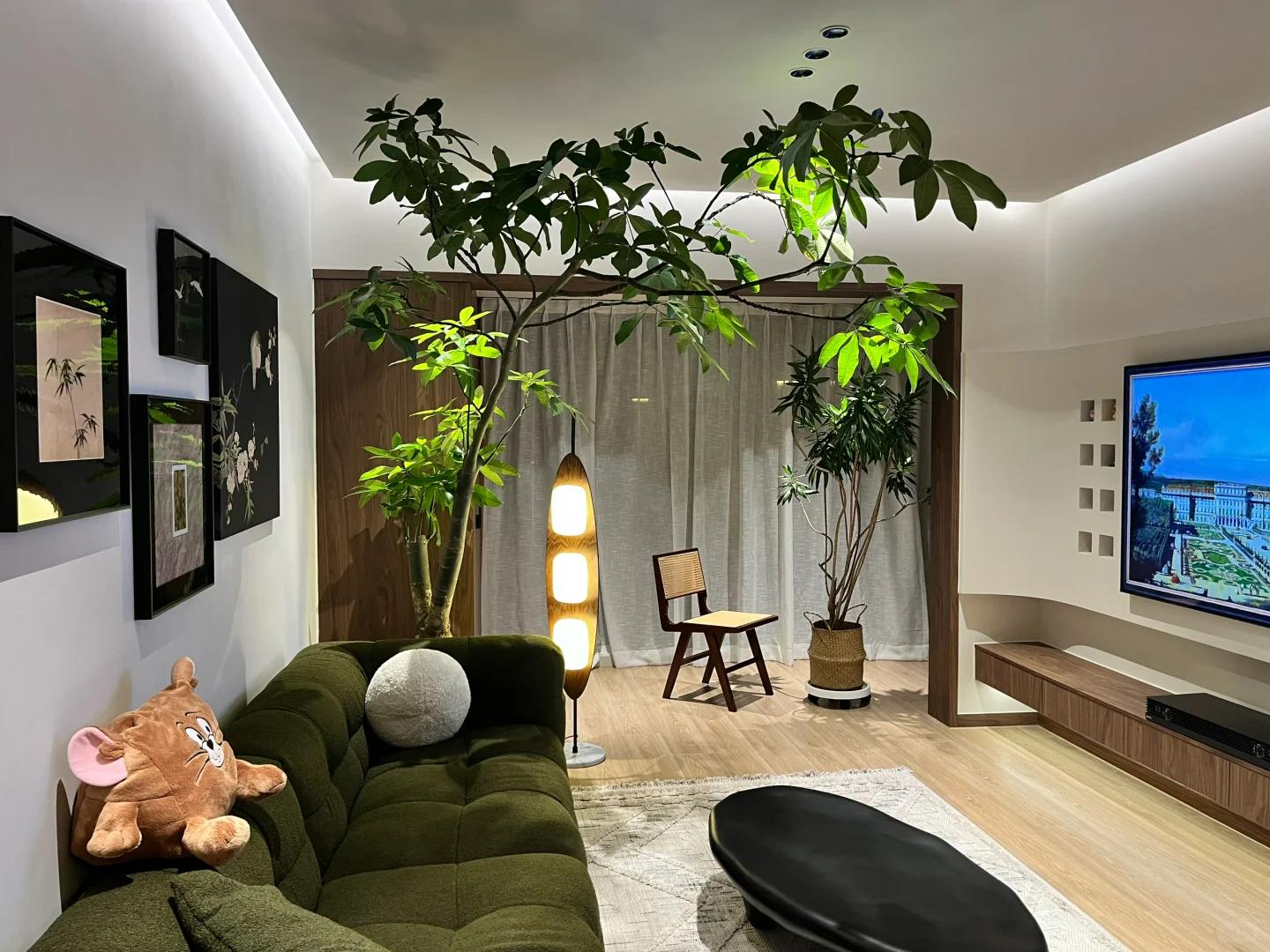 適合在客廳養(yǎng)的綠植有哪些_客廳養(yǎng)綠植適合有什么植物_客廳養(yǎng)綠植適合有什么花