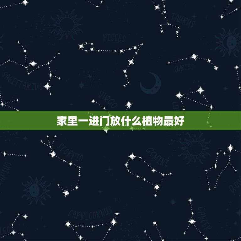 <strong>家里一進門放什么植物最好，家居風(fēng)水 一進門擺什么植物最好</strong>