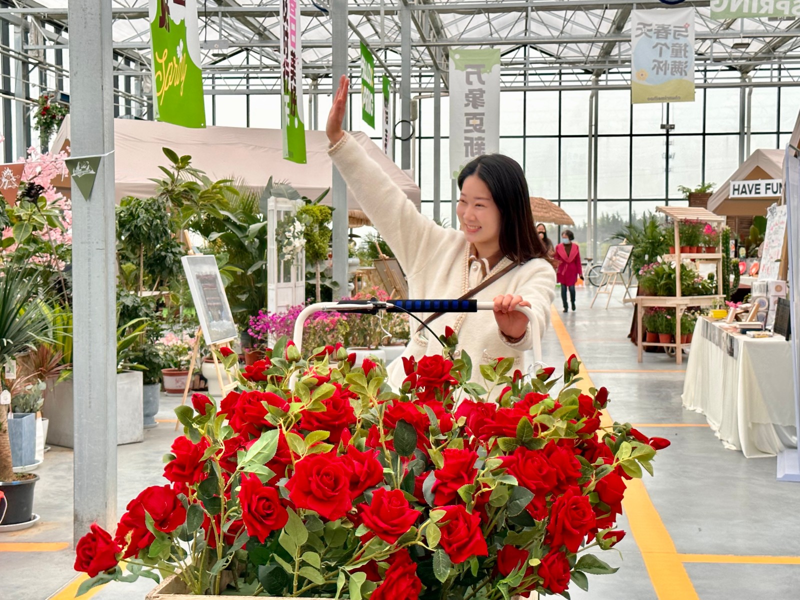 洛陽一花卉市場“變身”青年打卡地