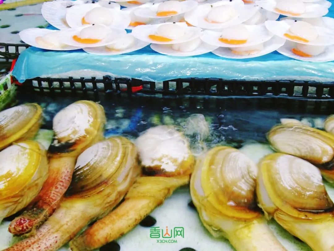 珠?；ɑ苁袌雠l(fā)市場_珠海市花卉批發(fā)市場_珠海花卉市場哪里便宜