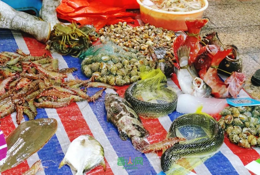 珠?；ɑ苁袌瞿睦锉阋薩珠海市花卉批發(fā)市場_珠海花卉市場批發(fā)市場