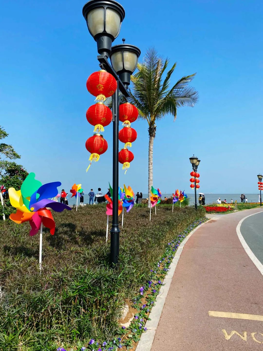 珠海市花卉批發(fā)市場_珠?；ɑ苁袌雠l(fā)市場_珠海花卉市場哪里便宜