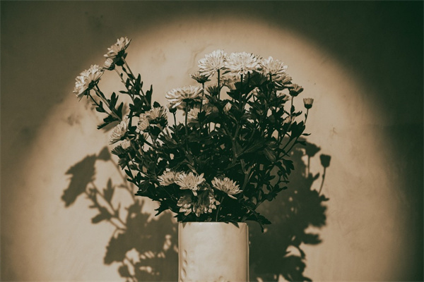 女生給男生生日送花(女生給男生生日送花代表什么意思)