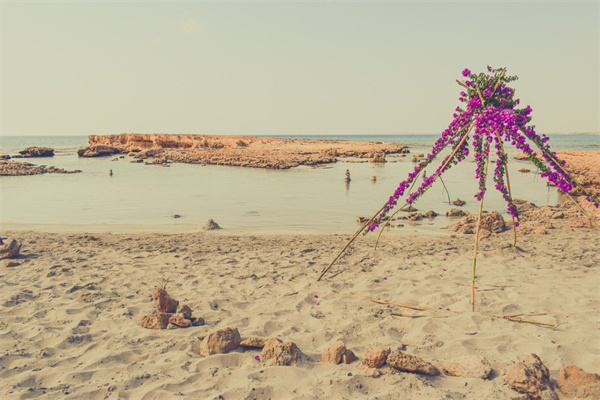 女兒生日送啥花(女兒生日送什么花合適17歲)