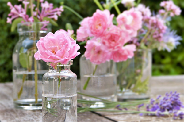 有錢的花束(有錢的花束怎么制作教程)