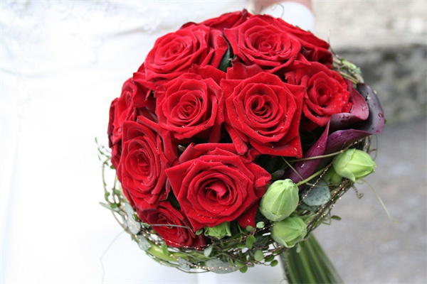 玫瑰花邊框(王者榮耀頭像玫瑰花邊框)